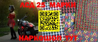 стафф Гатчина