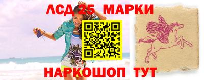 стафф Гатчина
