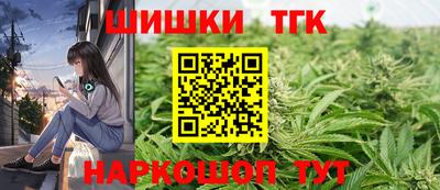 стафф Гатчина