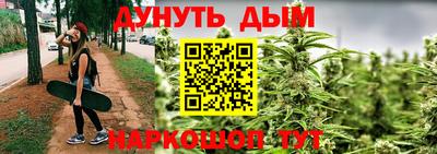 стафф Гатчина