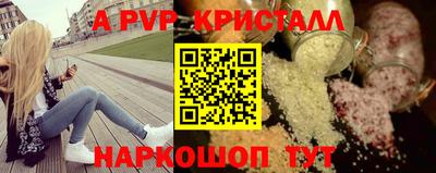 стафф Гатчина